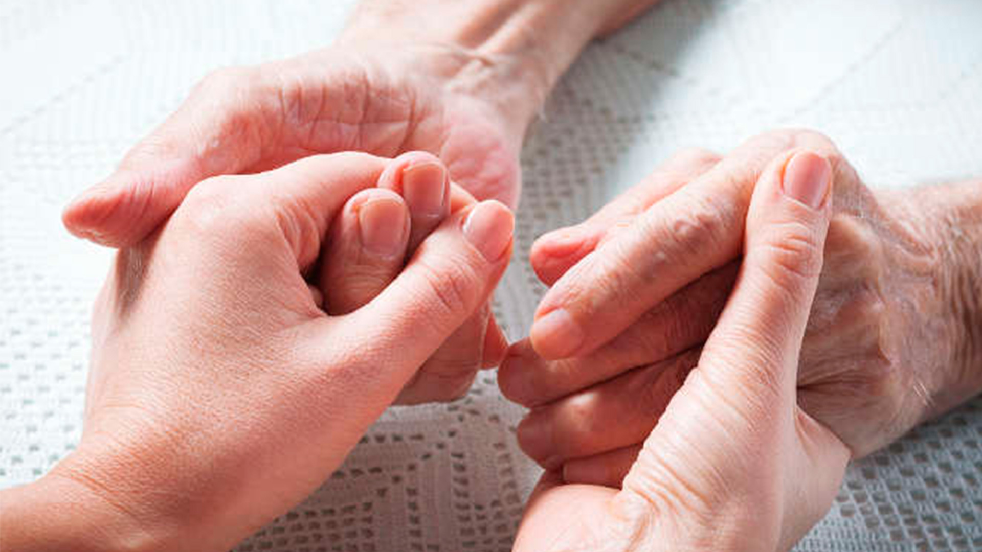 Vida – Lot 1 Expedient 2022.06