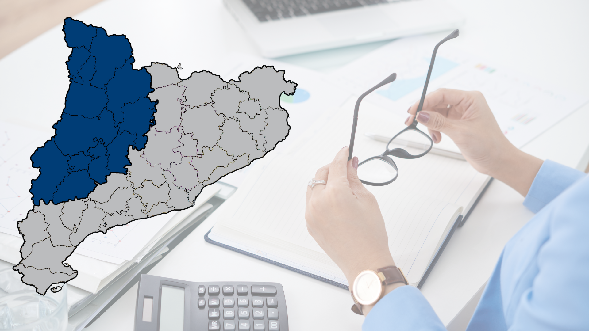 Lot 11. Auditoria de comptes societats mercantils Llei 22/2015 – Lleida