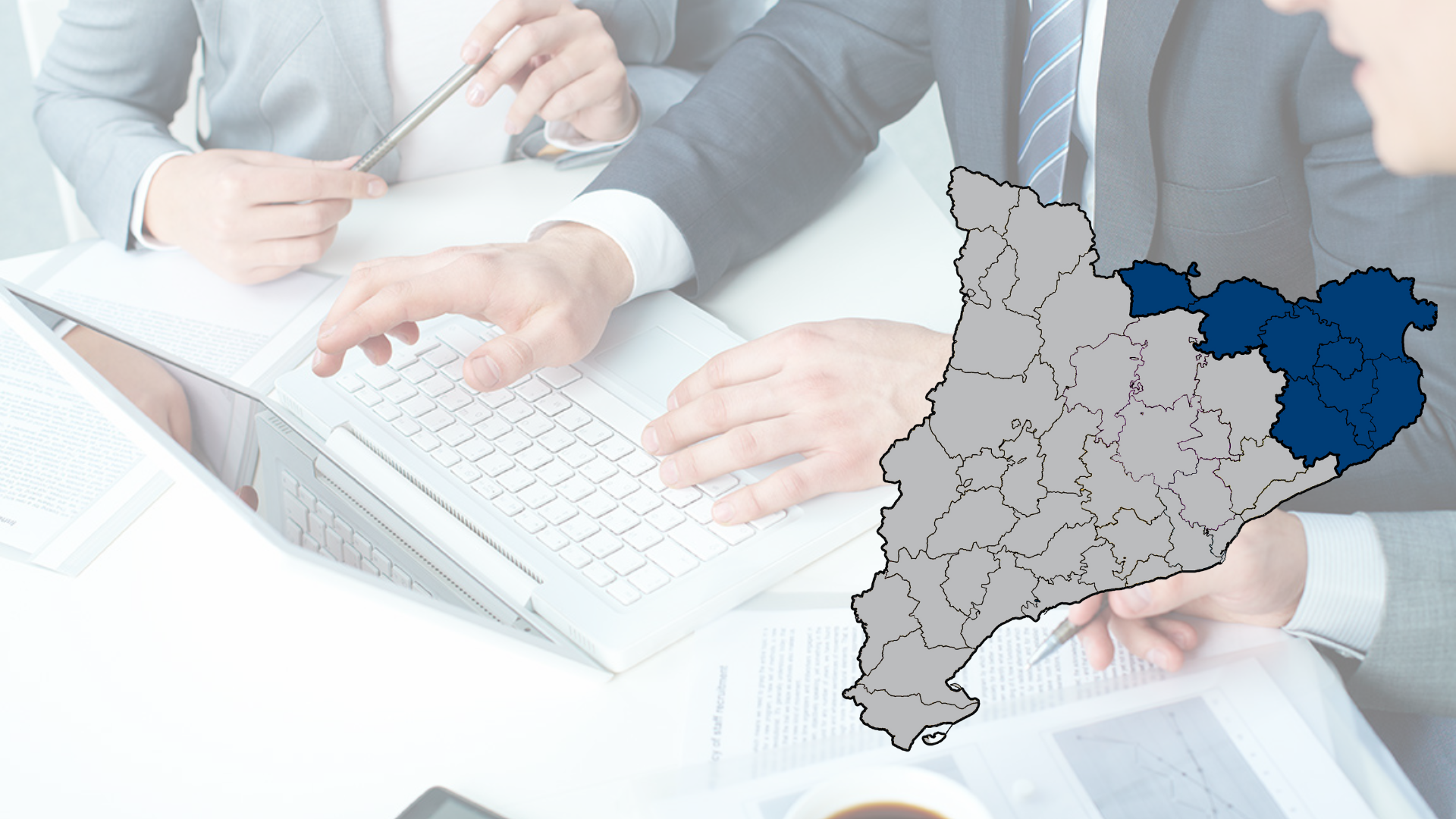 Lot 24. Plans anuals control financer òrgans interventors – Girona