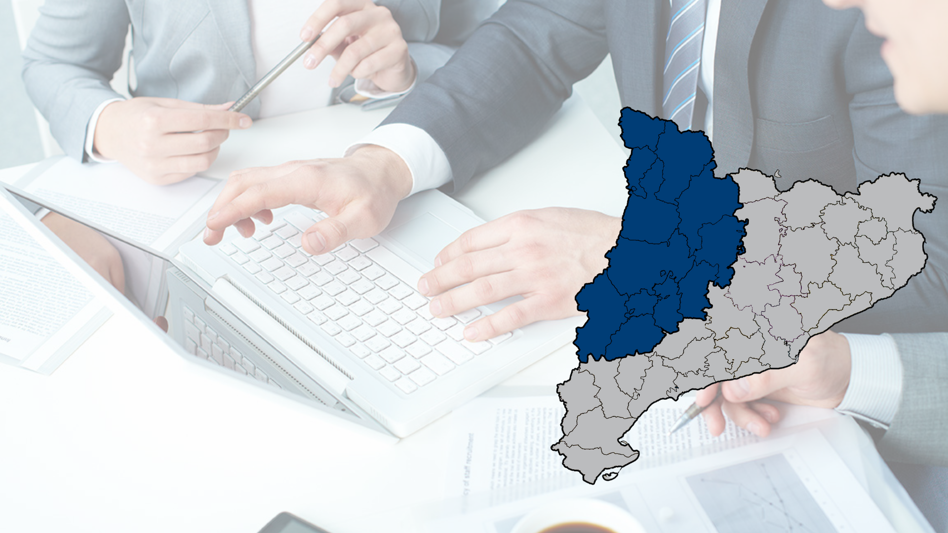 Lot 25. Plans anuals control financer òrgans interventors – Lleida