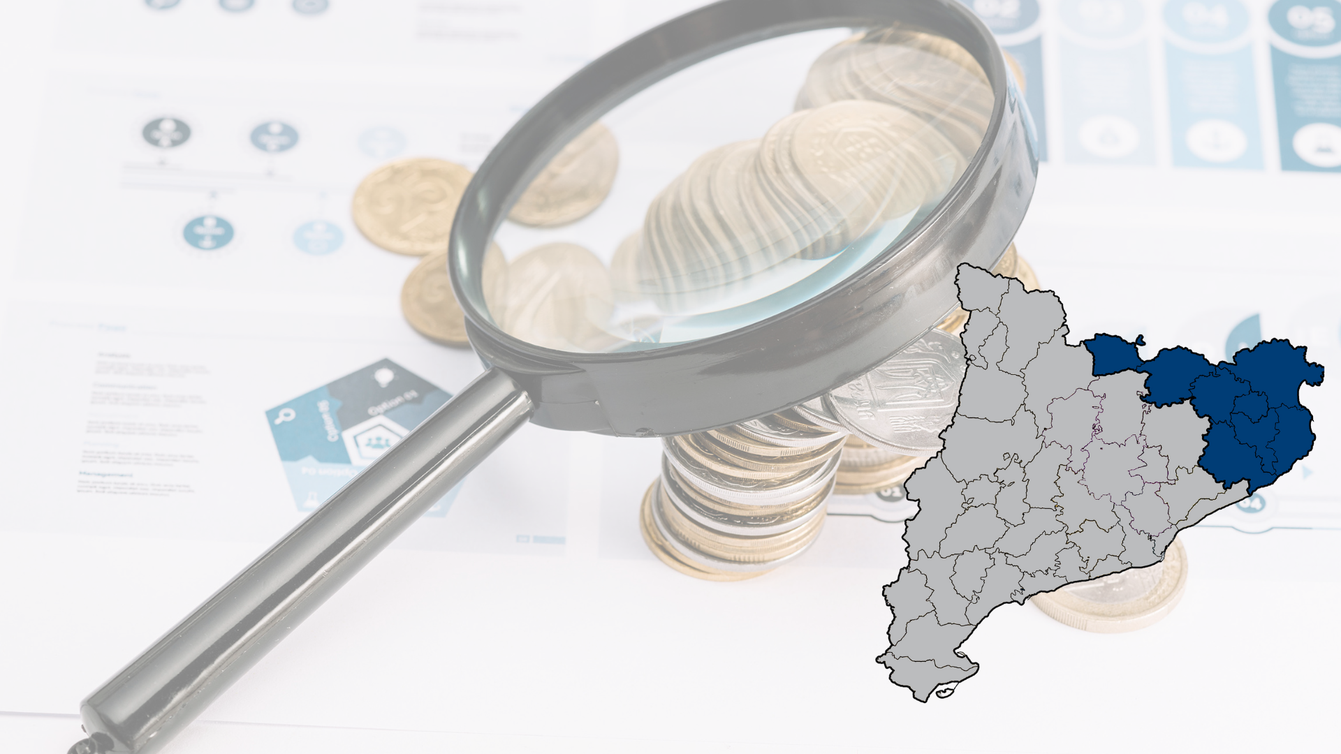 Lot 15. Control financer de subvencions Llei general subvencions – Girona