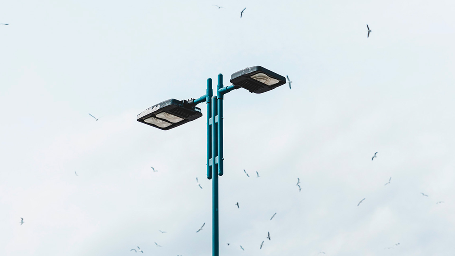 Lots 74 i 75. Assaig, verificació i control lumínic de les instal·lacions d'enllumenat públic